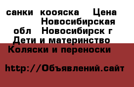 санки  коояска  › Цена ­ 1 000 - Новосибирская обл., Новосибирск г. Дети и материнство » Коляски и переноски   